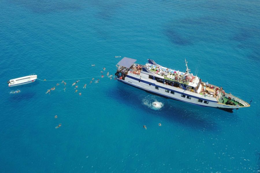 Odyssey Boat Safari